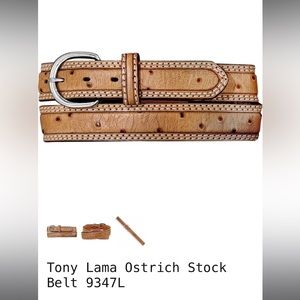 Tony Lama Ostrich Stock Belt size 38